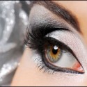 silver_eye_web208 silver_eye_web208