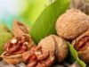 Полезные свойства грецкого ореха