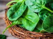Польза шпината для здоровья организма