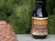 Применение кедровой живицы в лечебных целях