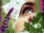 Фитотерапия глазных заболеваний