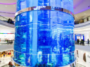 ТРЦ Океания: торгово-развлекательный центр европейского уровня