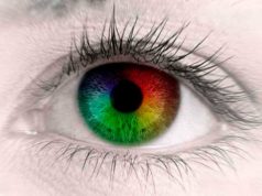 Как определить дальтонизм у человека?