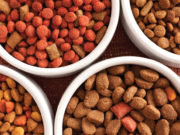 Разновидности сухих кормов для собак