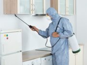 Справимся с вредителями: советы по дезинфекции и устранению непрошеных гостей